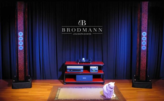 a pair of speakers with a cat in the scene